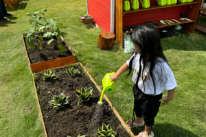preschool child practicing independent problem solving and daily life skills